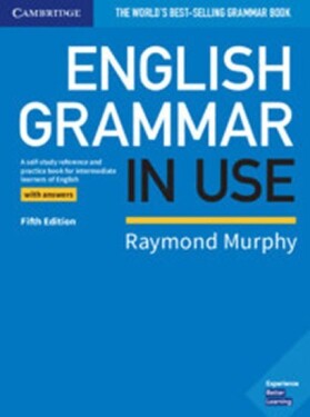English Grammar in Use 5th