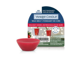 Yankee Candle Holiday Cheer Vosk do aromalampy 22