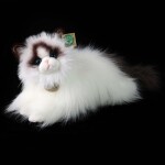 Plyšová kočka ragdoll ležící 35 cm, ECO-FRIENDLY