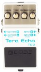 Boss TE-2 Tera Echo