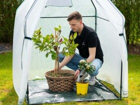 Fóliovník – Chili 1,2 x 1,2 m