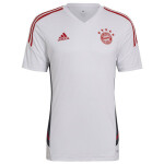 FC Bayern pánské tréninkové tričko HB0621 Adidas