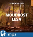 Moudrost lesa