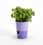 Samozavlažovací květináč Rosmarin ø 11 s okénkem sv./tm. levandulová