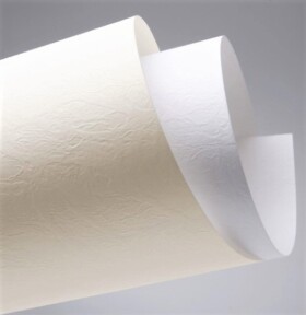 Galeria Papieru Borneo karton A4 230 g/m2 Kůže bílá