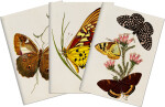 Sada tří notýsků Butterflies