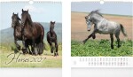 Kalendář 2027 nástěnný malý Horses