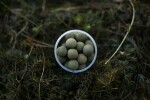 LK Baits Pop-up Boilie Lukas Krasa Nutric Acid - 18mm 200ml,LK Baits Pop-up Boilie Lukas Krasa Nutric Acid - 18mm 200ml