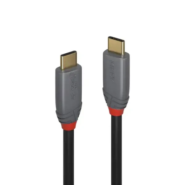 Lindy Anthra Line USB-C - USB-C 1m černá / Kabel USB / USB 3.1 Gen 2 / 10 Gbit/s / PD 100W (36901)