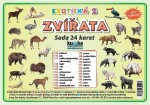 Sada 24 karet - zvířata (exotická 2) - Petr Kupka