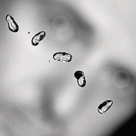 Peter Gabriel: Up - 2 LP - Peter Gabriel