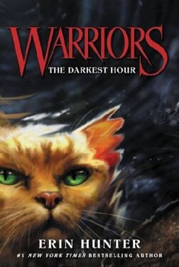 Warriors The Darkest Hour Erin