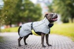 BullFit zimní bunda pro psa Barva: Šedá, Délka zad (cm): 37, Obvod hrudníku: 54 - 60 cm