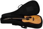 Cort Gold-DC6 NAT