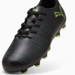 Boty Puma Future 8 Match Jr FG/AG 108622-02 38