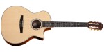 Taylor 814ce-N