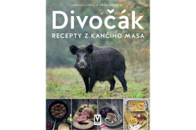 Divočák