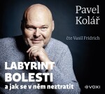 Labyrint bolesti