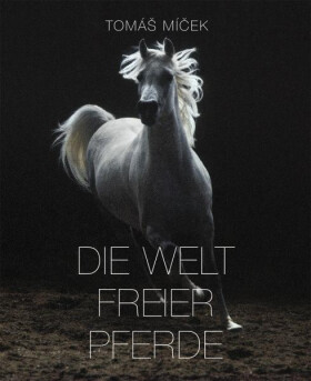 Die Welt Freier Pferde Tomáš Míček