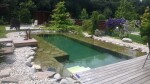 Fatra Aquaplast 805 PVC - Jezírková fólie 2 m šířka, 1,5 mm tloušťka, 20 m kotouč - olivově zelená (RAL6006)
