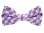 Britain fialový károvaný motýlek pro psa | 21 - 42 cm Barva: Fialovo-černá