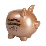 Prasátková pokladnička - Na budoucnost - Albi