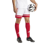 Šortky adidas Squadra 25 M JH3404 s