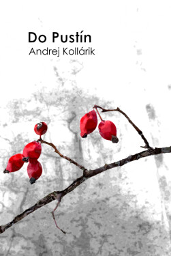 Do Pustín - Andrej Kollárik
