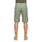 Bushman kraťasy Creston light olive 46