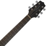 Takamine GD30CE-BLK