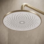 REA - Sprchový set Foss Clif Brush Gold REA-P3913