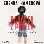 Panáček z popela - Zdenka Hamerová - audiokniha