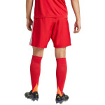 Šortky adidas Tastigo 25 M JN7157 XL