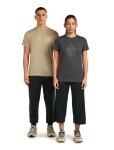 ICEBREAKER Wmns Mer 150 Tech Lite III SS Tee Hike Path, Obsidian velikost: M