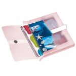 Box na spisy s gumičkou Herlitz easy orga A4, 4 cm, PP - transparent rose