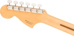 Fender Player II Jaguar RW CRR