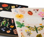 Rifle Paper Co. Kapesní nelinkovaný zápisník Curio – set 2 ks, multi barva, papír