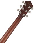 Ibanez AEG70 Purple Iris Burst