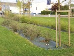 Rozložitelná ekotextilie ze 100% biomasy přírodními vlákny) Agrotextílietilie EKO+ 157 g/m² m²]