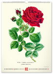 Nástěnný kalendář 2027 Notique Vintage herbář, 33 × 46 cm