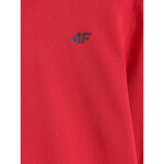 Pánská mikina 4F 4FWMM00TSWSM1767-062S s kapucí bez svetru m