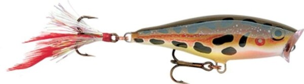 Rapala Wobler Skitter Pop Top Water Fresh F - 7cm 7g,Rapala Wobler Skitter Pop Top Water Fresh F - 7cm 7g