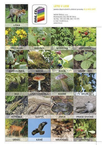 Pexeso Léto v lese (Já můj svět 2), 1. vydání