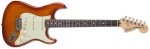 Fender American Performer Stratocaster