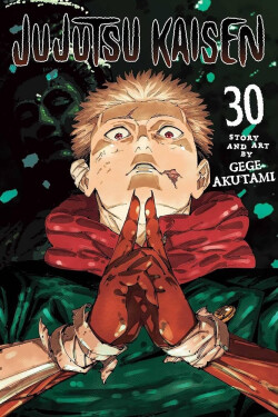 Jujutsu Kaisen, Vol. 30 - Gege Akutami