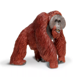 Safari Ltd. Safari Ltd. Orangutan bornejský