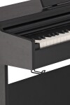 Gewa DP510 black