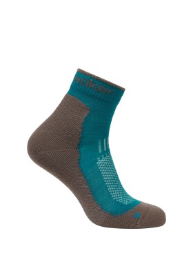 Dámské merino ponožky ICEBREAKER Wmns Hike+ Light Mini, Tidal Teal/Porcini velikost: 38-40 (M)