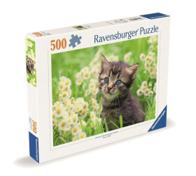 Puzzle Kotě na louce 500 dílků