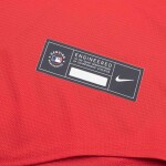 Nike Pánský dres Philadelphia Phillies MLB Alternate Velikost: XL